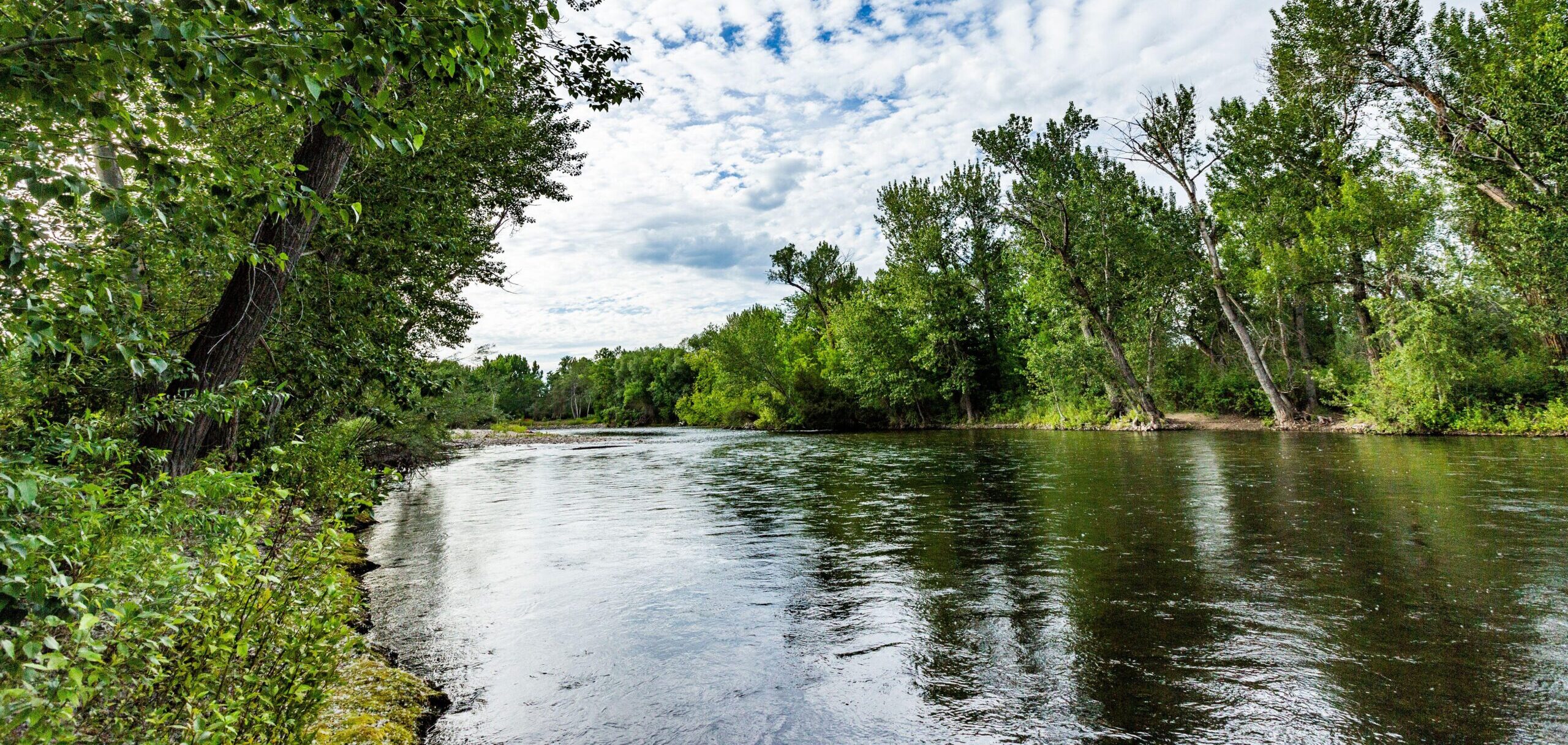 2C90G9F USA, Idaho, Boise, Trees on banks of Boise River