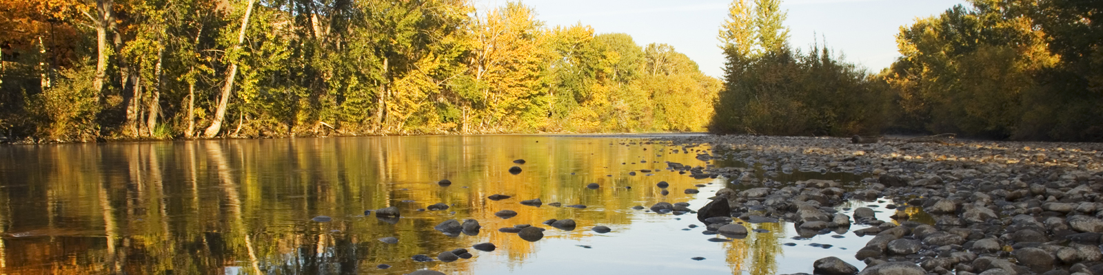 Landscape of trees reflected on a river